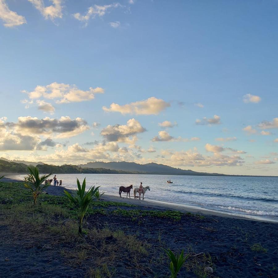 Playa Negra Brewing Beachfront Hotel Puerto Viejo de Talamanca Экстерьер фото
